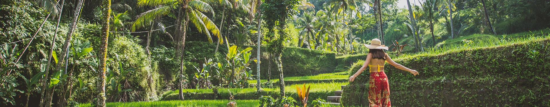 Singapura, Lovina, Candidasa, Ubud e Ilhas Gilli