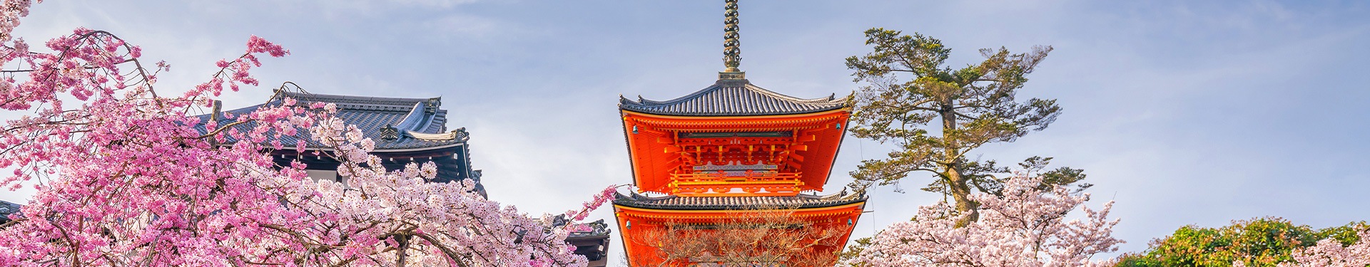 Tóquio, Quioto, Osaka e Tóquio