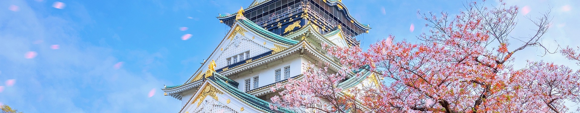 Osaka, Quioto, Tóquio, Phuket e Phi Phi