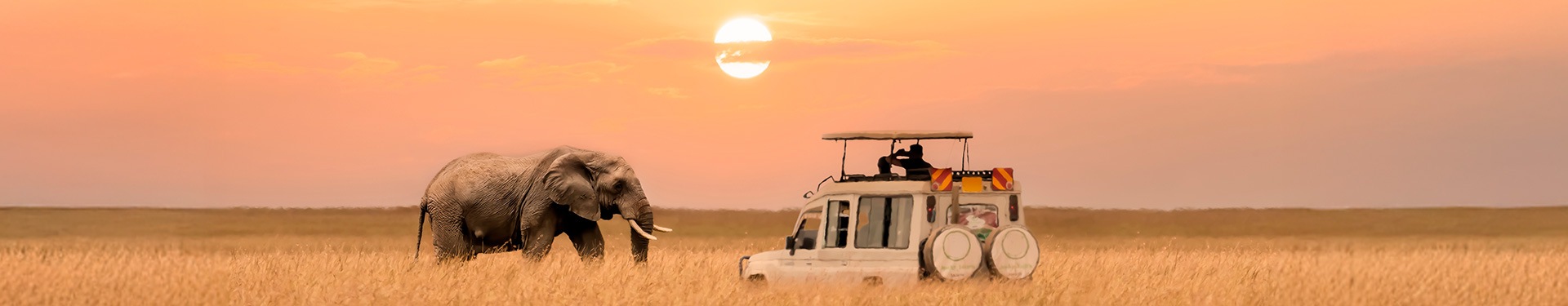 Arusha, Kilimanjaro, Tarangire, Serengeti, Ngorongoro e Lago Eyasi