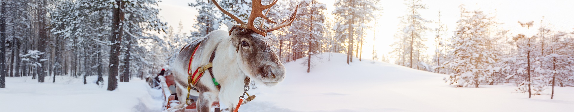 Lapónia Boreal com o Pai Natal