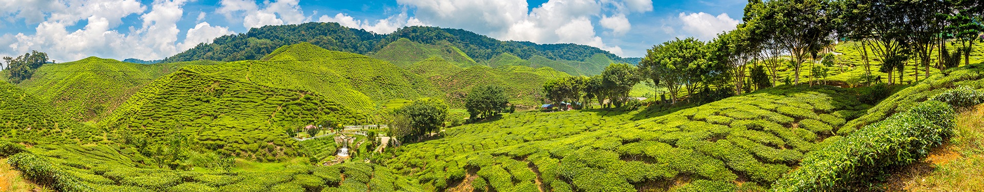Rota de Cameron Highlands a Malaca