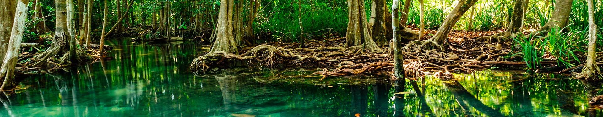 Banguecoque, Chiang Rai, Chiang Mai e Krabi