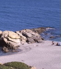Praia da Los Toros