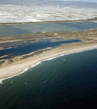 Cerrillos