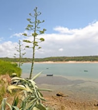 Praia das Furnas