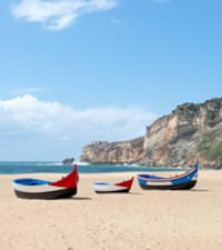 Praia Gralha