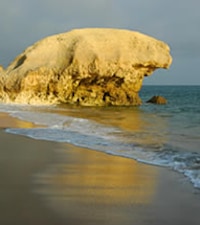 Praia da Coelha