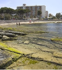 Caló de Son Caios 
