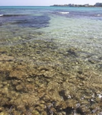 Praia da Sa Coma