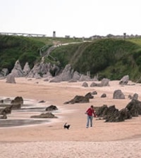 Praia da Toró