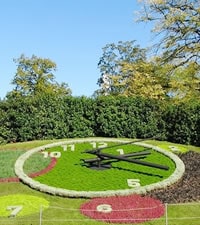 Clock of Flowers