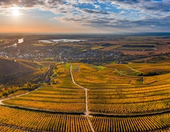 Itinerário do Cruzeiro De Tokaj (Hungria) a Budapeste (Hungria) - CroisiEurope