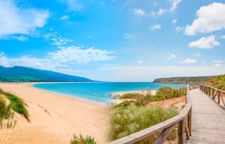 Verão