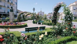 Hotel Meia Lua