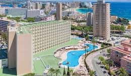 Sol Guadalupe