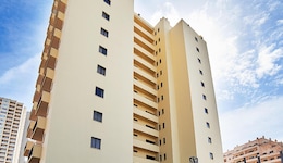 Club Amarilis