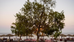 Veggera Hotel