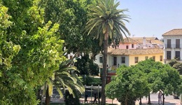 Hotel las Casas de la Judería Córdoba