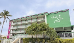 Palm Tree Club Miami