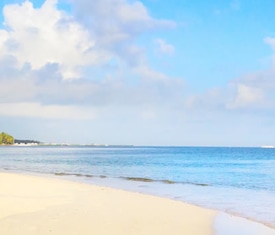 Os cruzeiros mais procurados para visitar Bahamas