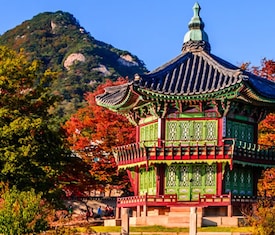 Os cruzeiros mais procurados para visitar Coreia Do Sul