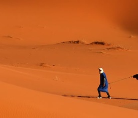 Os cruzeiros mais procurados para visitar Tunísia