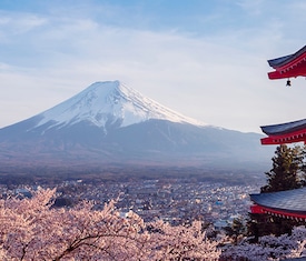 Os cruzeiros mais procurados para visitar Japão