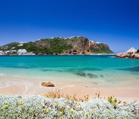Os cruzeiros mais desejados que visitam Mossel Bay, South Africa