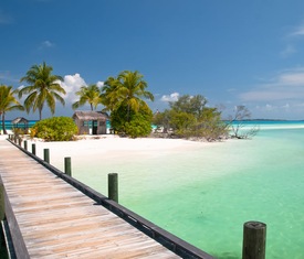 Os cruzeiros mais desejados que visitam Grand Bahama Island