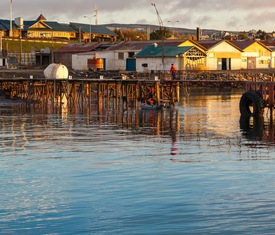 Os cruzeiros mais desejados que visitam Punta Arenas (Chile)