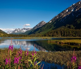 Os cruzeiros mais desejados que visitam Valdez (Alaska)