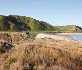 Os cruzeiros mais desejados que visitam Gisborne, Nueva Zelanda