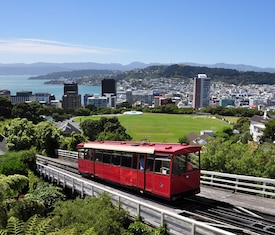 Os cruzeiros mais desejados que visitam Wellington
