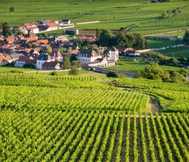 Os cruzeiros mais desejados que visitam Le Verdon (Francia)