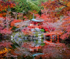 Os cruzeiros mais desejados que visitam Quioto (Japão)