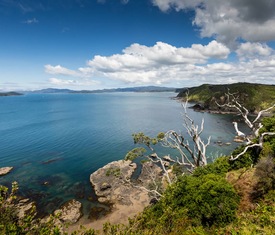 Os cruzeiros mais desejados que visitam Bay of Islands (Nueva Zelanda)
