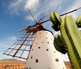 Os cruzeiros mais desejados que visitam Puerto del Rosario, Fuerteventura