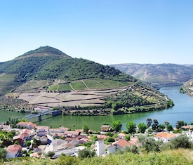 Os cruzeiros mais desejados que visitam Pinhao (Portugal)