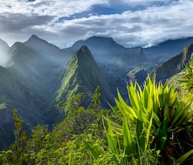 Os cruzeiros mais desejados que visitam Le Port (Réunion)