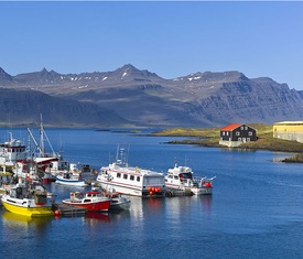 Os cruzeiros mais desejados que visitam Djupivogur (Islandia)
