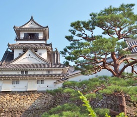 Os cruzeiros mais desejados que visitam Kochi (Japón)