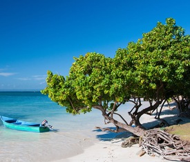 Os cruzeiros mais desejados que visitam Samaná (República Dominicana)