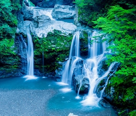 Os cruzeiros mais desejados que visitam Tokushima, Japan