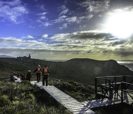 Os cruzeiros mais desejados que visitam Cabo Horn (Navegação)