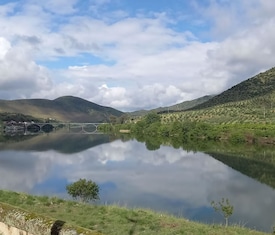 Os cruzeiros mais desejados que visitam Vega de Terón
