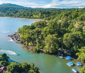 Os cruzeiros mais desejados que visitam Drake Bay (Costa Rica)