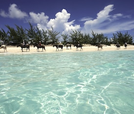 Os cruzeiros mais desejados que visitam Half moon Cay