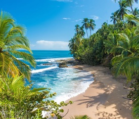 Os cruzeiros mais desejados que visitam Puerto Limón