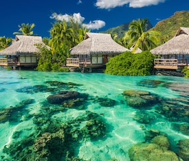 Os cruzeiros mais desejados que visitam Moorea (Polinesia Francesa)